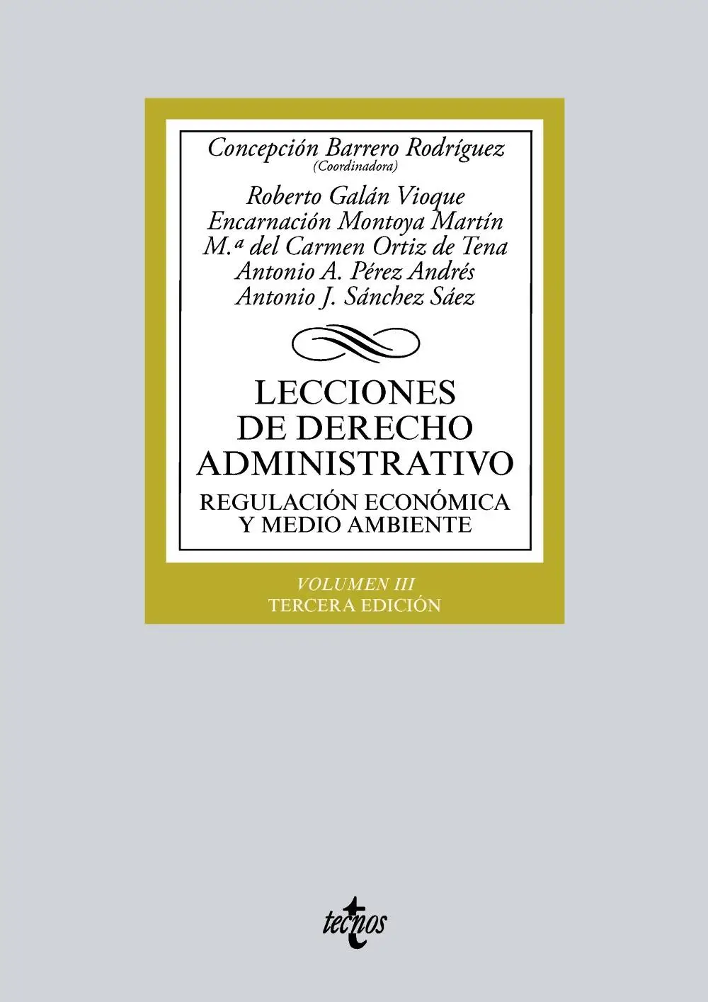 Lecciones de Derecho Administrativo - 9788430973552