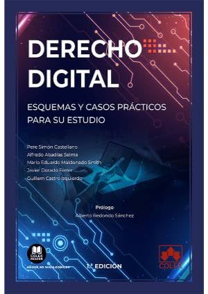 Derecho digital. Esquemas y casos prácticos para su estudio-9788413594750